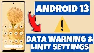 Data Warning & Limit settings Android 13