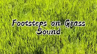 Sound - Footsteps on Grass