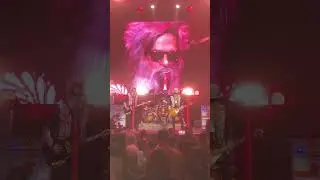 Lynyrd Skynyrd & ZZ Top : The Sharp Dressed Simple Man Tour [2024]