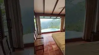 Wildernest Private Pool Villa In GOA❤️😍 DO SUBSCRIBE FOR MORE #goa #privatepool #shorts