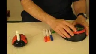 Color Bug
