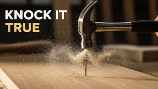 Knock It True - The Symphony of Workshop Sounds