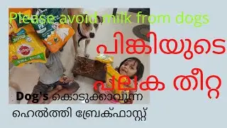 Healthy foods for Dog's.. Plzzz avoid Milk from dog's diet... 🐈🐈###