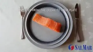 Salmar Commercial