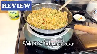 Abangdun Wok 1700W Induction Cooker Review - See Before Buying