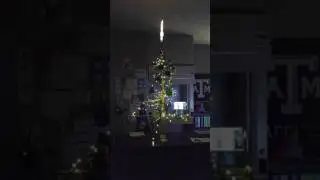 Chemistree 2016