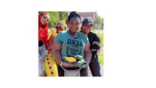 Green Table Talks Community Garden - Future Food Producers