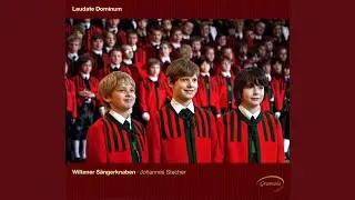 Vesperae solennes de confessore, K. 339: Laudate Dominum