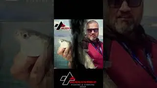 DEADLY STRIKE Fishing & Camping Gear