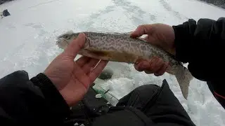 ICE FISHING for TIGER TROUT in Colorado - First Ice!