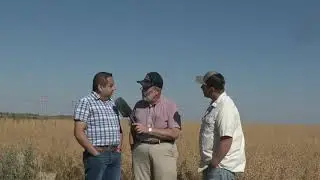 TPS Lab presents Field Reports - Part 1 Improving Mustard Production