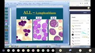 WBC Disorder 3 | Pathology Lecture MBBS