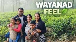 Wayanad Trip 🌿 | Mini Vlogs to a Long Travel Video | Kerala Nature Vlog #WayanadTrip  #WayanadVlog  