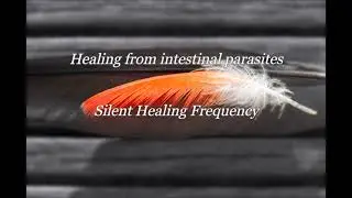 Healing from intestinal parasites Silent Healing Frequency