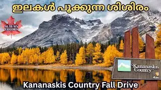 Kananaskis Country Fall Drive | Stunning Autumn Colours 