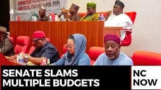 Senate Slams Multiple Budgets, Demands ₦35tn Revenue Target for 2026