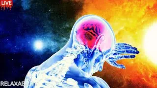 Healing Harmonies - Stroke Recovery Music - The therapeutic Beat