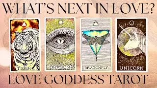 🐅 🐉 ✨🦄 WHAT'S COMING NEXT IN LOVE?🔮 Pick a Card Love Tarot Reading