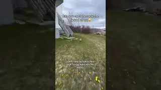 bee is fast #cats #catsoftiktok #catsrunning #foryou