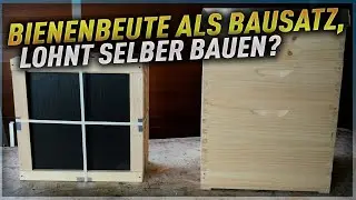 Imker werden! Thema Bienenbeute!