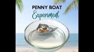 COIN Boat experiment for kids. #experimentsforkids #easyexperiment #easyexperiments