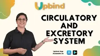 Circulatory and Excretory System | Science | Class 4 | Upbind - The Educational App