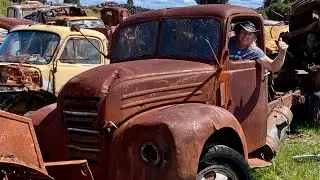 Vid3 Horopito Motors smash palace my favourite classic car scrapyard in the world (New Zealand )