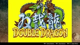 Low Vision Spotlight - Double Dragon Advance