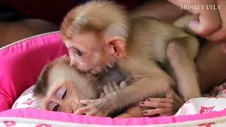 Young Baby Sucking Ear Elder Sis Very Convenience For Deep Sleep