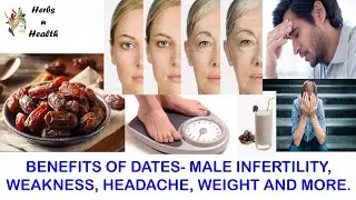 Dates | Benefits of Dates for Male Infertility, Headache, Weakness | Herbs n Health