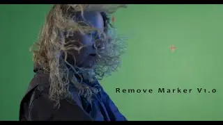 Remove Marker V1.0