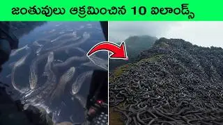 Top 9 Islands that ruled by animals | snake island | bmc facts | Facts in Telugu | interesting facts