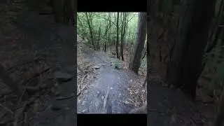 #pennsylvania #mountainbiking at Roaring Creek