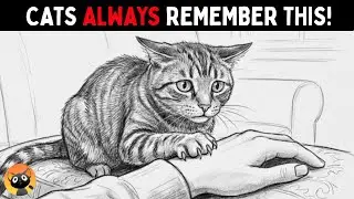 8 Things Your Cat Will Always Remember This