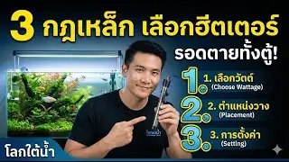 ดูซักนิด ก่อนซื้อ การเลือกใช้ heater ต้องดูคลิปนี้ 🐟🔥