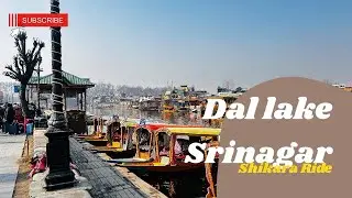 Exploring Dal Lake | Shikaras, Houseboats & Pure Bliss