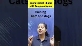 Learn English idioms | Raining Cats & Dogs | #testbook