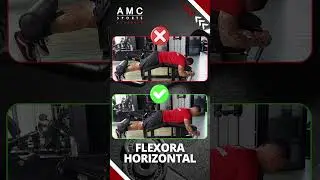 Flexora horizontal