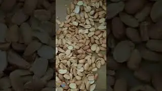 Roasted Peanut Peeling Machine