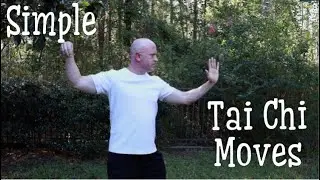 Simple Tai Chi Moves (Beginners) For the Mind and Body Connection