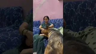 Champ ko bhut Jalan hota h 😂🐶❤️#dog #germanshepherd #doglover #viral #reels #love #shorts #champ