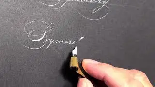 Ornamental Penmanship practice &ldquo;symmetry&rdquo; #handwriting #calligraphy #art