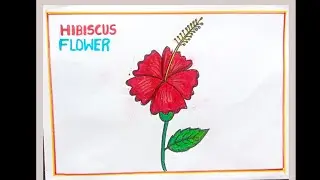 How to draw Hibiscus flowers easy / Hibiscus flowers drawing / Step by step flower drawing tutorial 