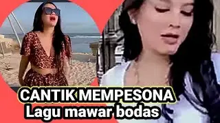 cantik mempesona lagu mawar bodas