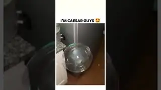 Caesar 🫧 #jojo #jojosbizarreadventure #jojobizzare #funnymemes #youtubeshorts #shorts #caesar