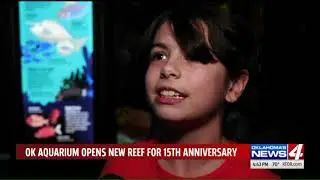4 the Weekend: new exhibit at Jenks Aquarium