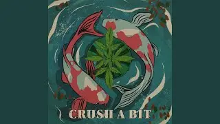 Crush a Bit