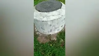 Нам необходима помощь 🙏🏼