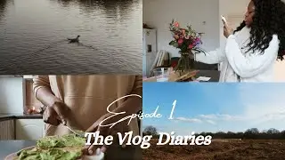 THE VLOG DIAIRES EP 1 