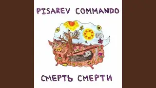 Pisarev Commando - Что такое смерть